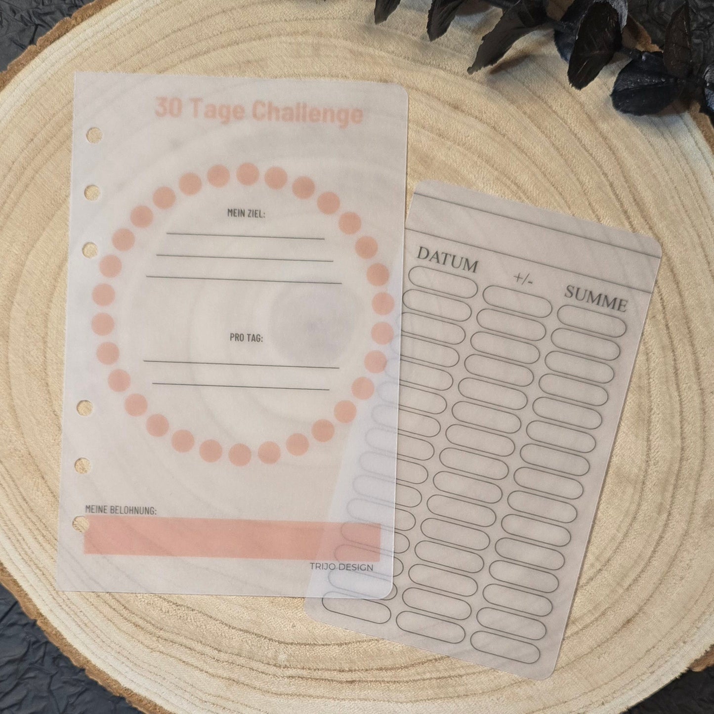 30 Tage Challenge / Ziel-Tracker Transparent A6
