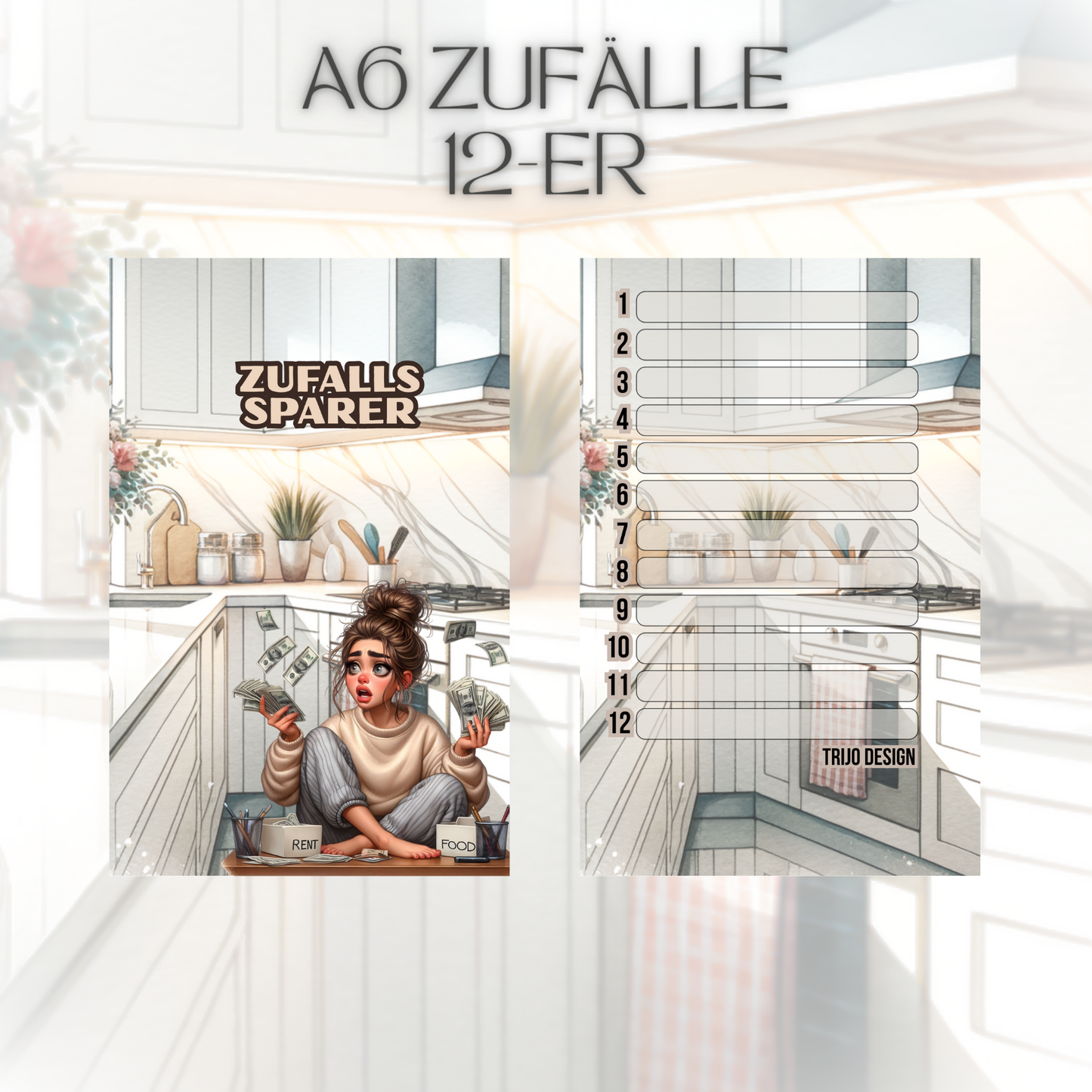 Register A6 Budgeting Zufälle 12er Set