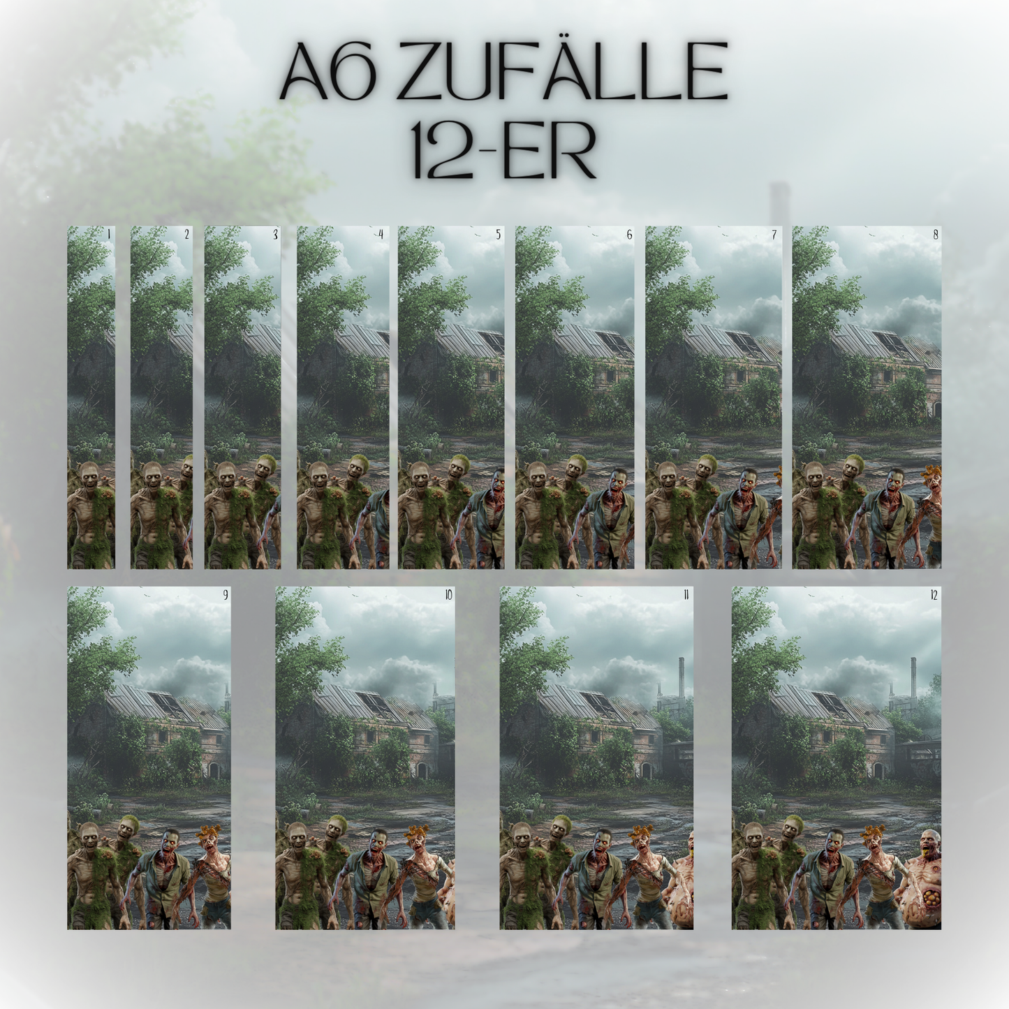 Register A6 Survive the Dead 12er Set