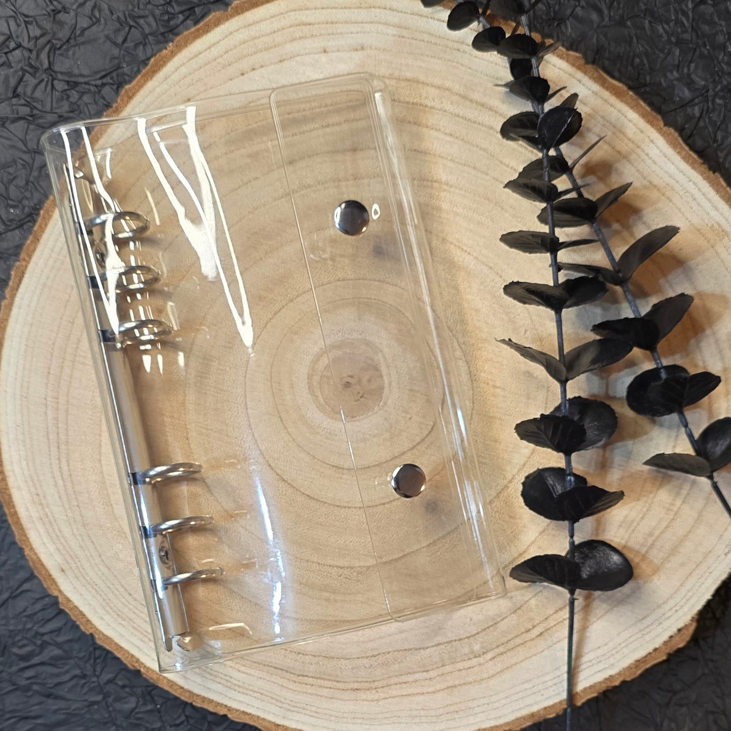 Budgetbinder minimalistisch Transparent/Silber