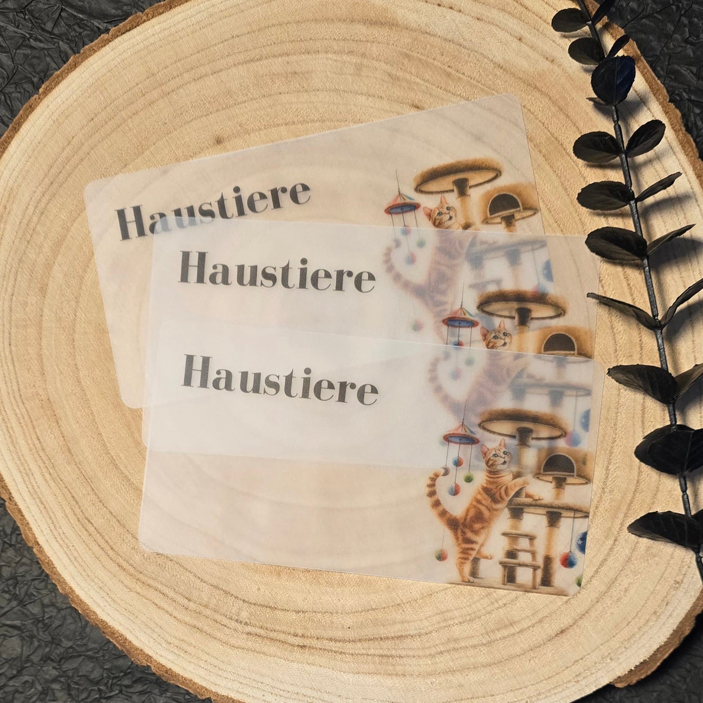 Dashboard Transparent HAUSTIERE KATZE Schrift 1 A6