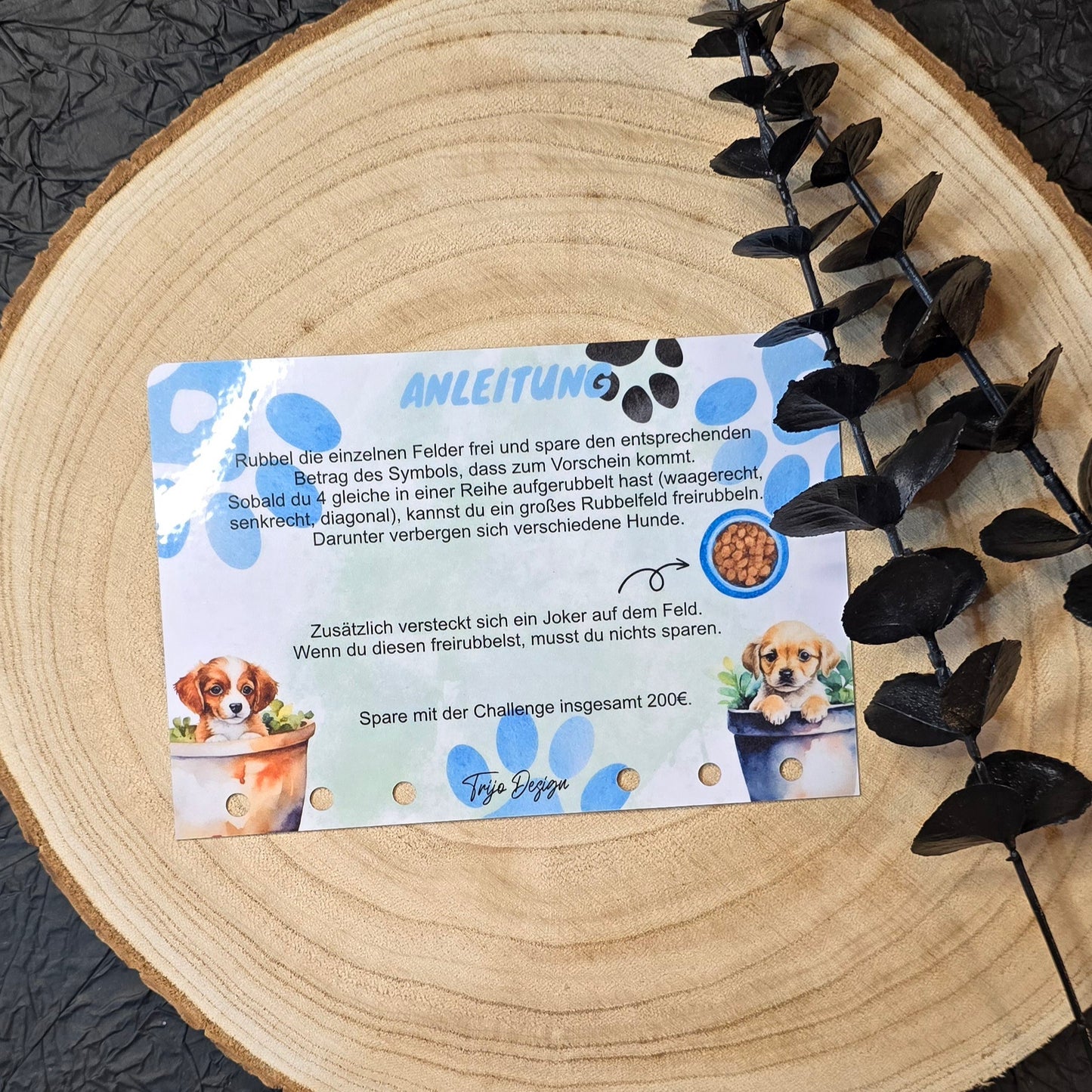 4 Gewinnt - Dog 4 fun Rubbelchallenge A6
