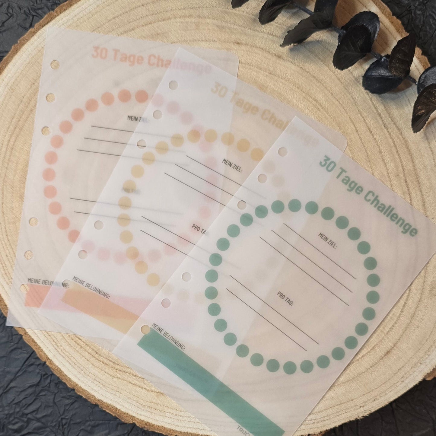 30 Tage Challenge / Ziel-Tracker Transparent A6