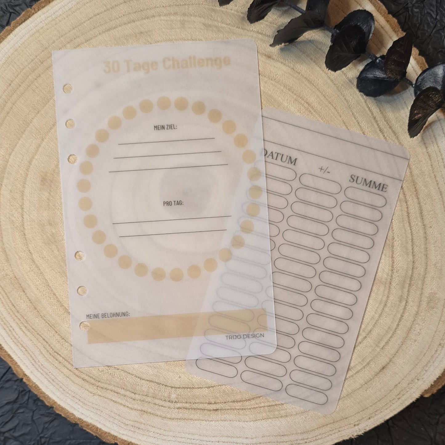 30 Tage Challenge / Ziel-Tracker Transparent A6
