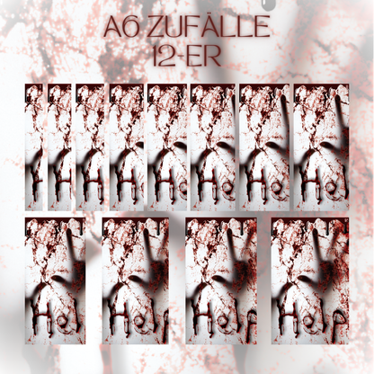 Register A6 Horror Zufälle 12er Set