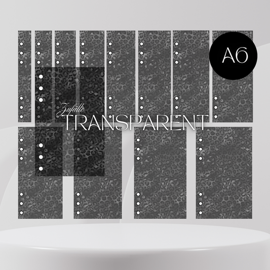 12er Set Register A6 Transparent Black Leo Zufälle