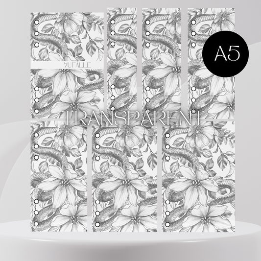 6er Set Register A5 Transparent Flower Snake Zufälle