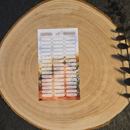 Dice Shot Sparchallenge A6