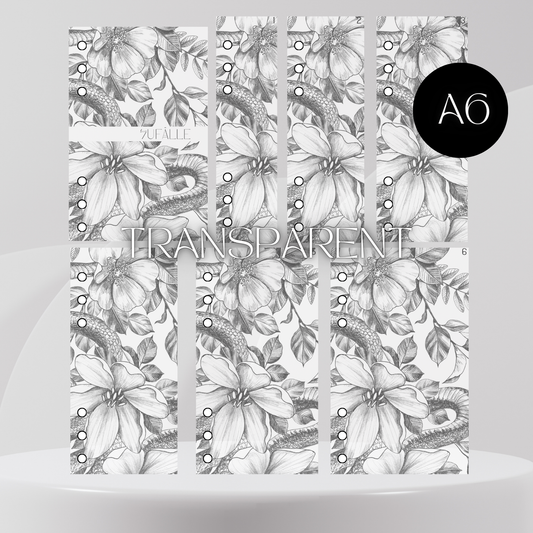 6er Set Register A6 Transparent Flower Snake Zufälle
